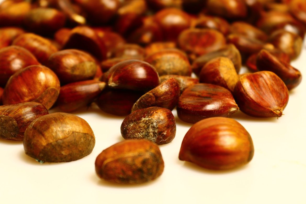 bahce mobilyalari secerken nelere dikkat etmeli